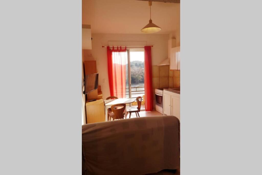Joli Appartement, Terrasse Plein Sud Roquebrun Esterno foto